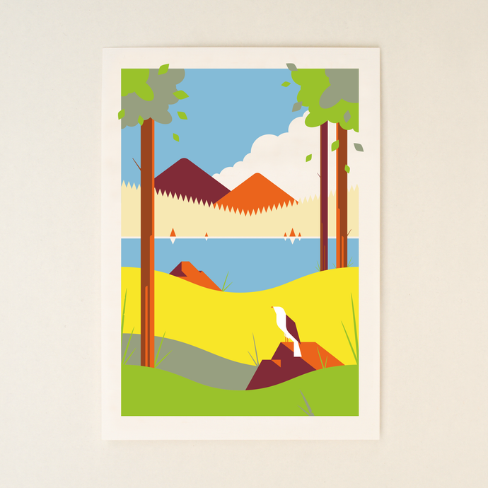 The Bird Watcher 2