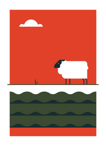 The Big 5 - Sheep