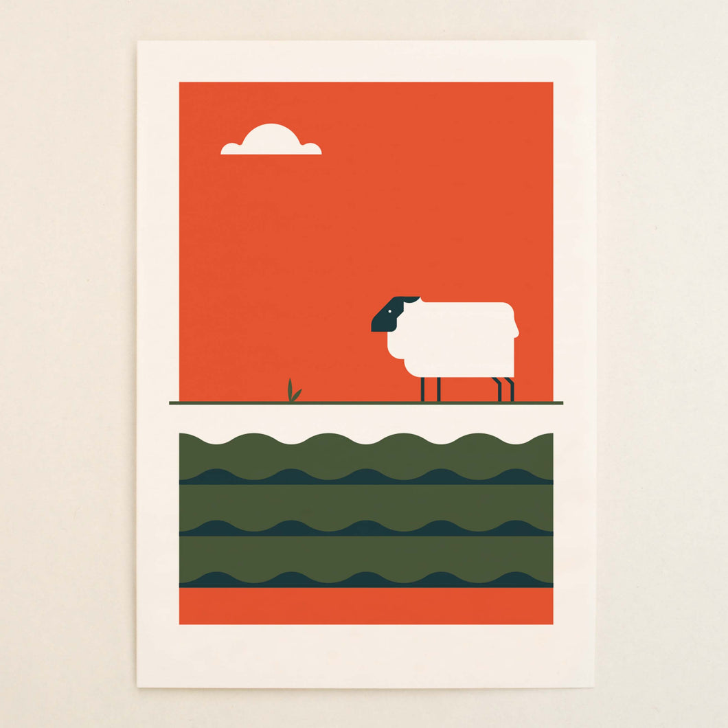 The Big 5 - Sheep